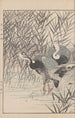 Keinen kach gafu Pl111 - Imao Keinen — artwork view