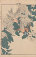 Keinen kach gafu Pl113 - Imao Keinen — artwork view