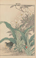 Keinen kach gafu Pl116 - Imao Keinen — artwork view