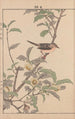 Keinen kach gafu Pl129 - Imao Keinen — artwork view
