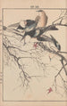 Keinen kach gafu Pl133 - Imao Keinen — artwork view
