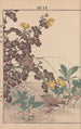 Keinen kach gafu Pl135 - Imao Keinen — artwork view