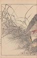 Keinen kach gafu Pl137 - Imao Keinen — artwork view