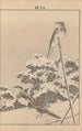 Keinen kach gafu Pl138 - Imao Keinen — artwork view