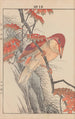 Keinen kach gafu Pl139 - Imao Keinen — artwork view