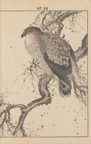 Imao Keinen - Keinen kach gafu Pl140.webp