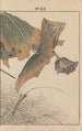 Keinen kach gafu Pl148 - Imao Keinen — artwork view
