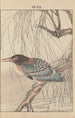 Keinen kach gafu Pl150 - Imao Keinen — artwork view