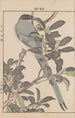 Keinen kach gafu Pl157 - Imao Keinen — artwork view