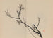 Keinen Shugajo Pl14 - Imao Keinen — artwork view