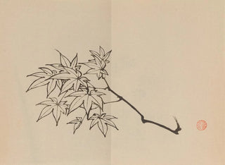 Keinen shugajō Pl20 - Imao Keinen — artwork view