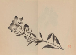 Keinen shugajō Pl22 - Imao Keinen — artwork view