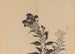 Keinen shugajo Pl29 - Imao Keinen — artwork view