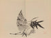 Keinen shugajō Pl37 - Imao Keinen — artwork view