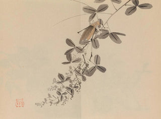 Keinen shugajō Pl40 - Imao Keinen — artwork view
