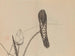 Keinen shugajō Pl. 43 - Imao Keinen — artwork view