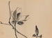 Keinen shugajō Pl44 - Imao Keinen — artwork view