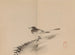 Keinen shugajō Pl49 - Imao Keinen — artwork view
