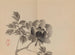 Keinen shugajō Pl57 - Imao Keinen — artwork view