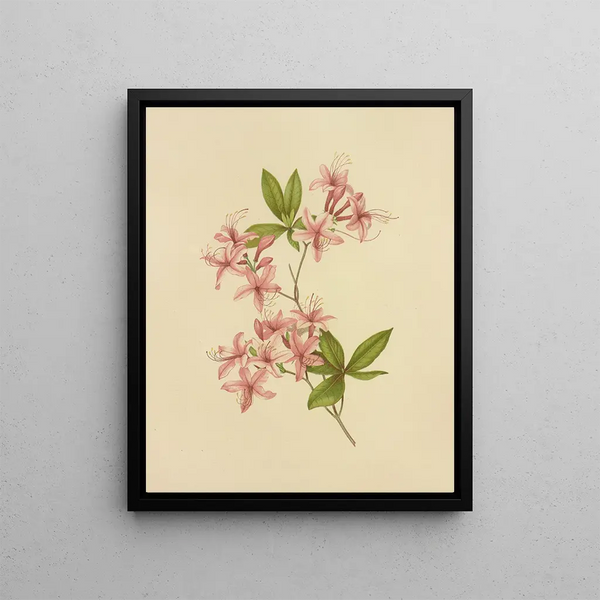 Violet Azalea Painting - Isaac Sprague — framed artwork on a wall