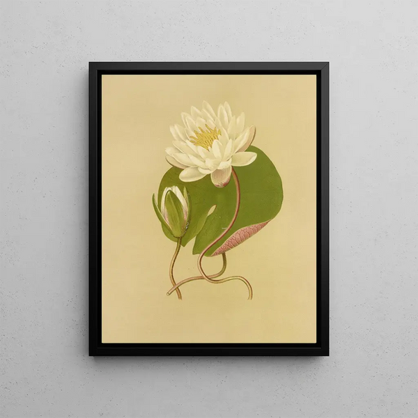 Lily Pad Painting - Isaac Sprague — framed artwork on a wall