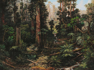 In the Sassafras Valley, Victoria - Isaac Whitehead — artwork view
