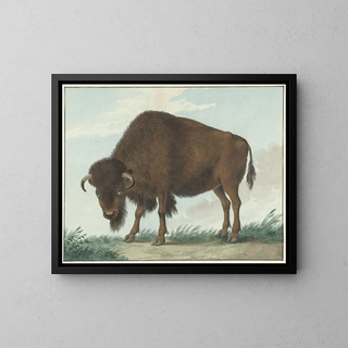 Bison - Isaac van Haastert — framed artwork on a wall