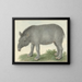 Tapir - Isaac van Haastert — framed artwork on a wall