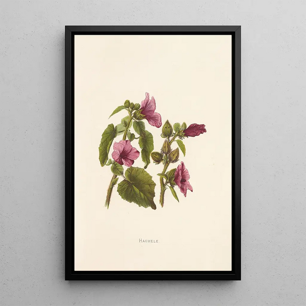 Hauhele - Isabella McHutcheson Sinclair — framed artwork on a wall