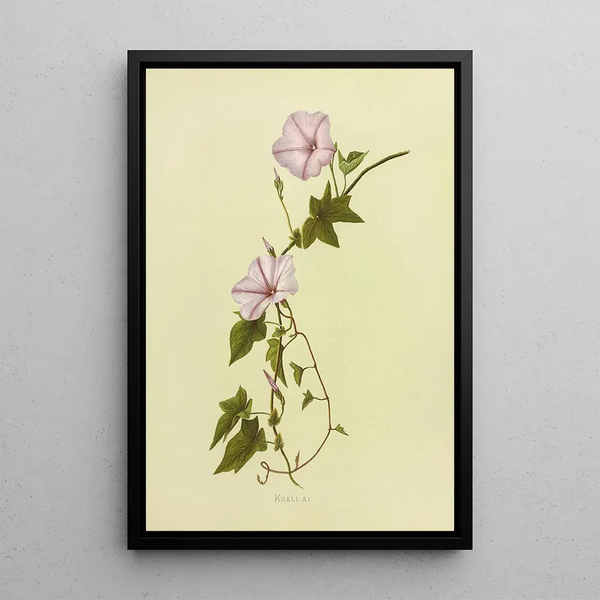 KoaliAi - Isabella McHutcheson Sinclair — framed artwork on a wall