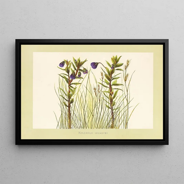 KolokoloKuahiwi - Isabella McHutcheson Sinclair — framed artwork on a wall