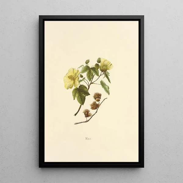 Mao Painting - Isabella McHutcheson Sinclair — framed artwork on a wall