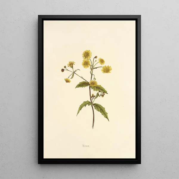 Nehe - Isabella McHutcheson Sinclair — framed artwork on a wall