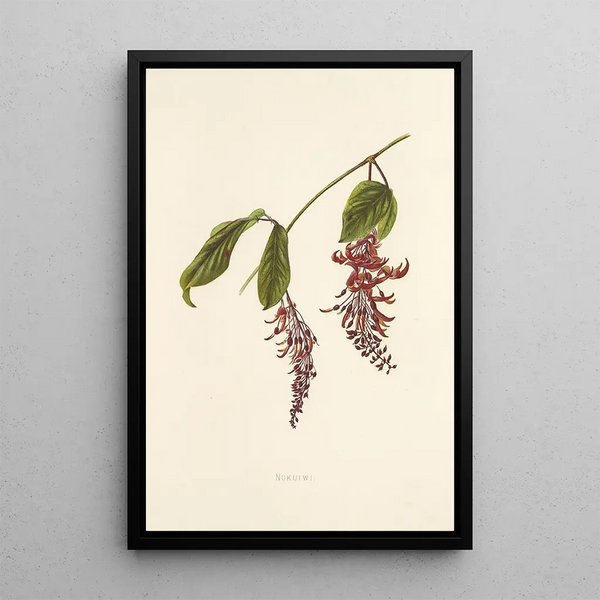 Nukuiwi Painting - Isabella McHutcheson Sinclair — framed artwork on a wall