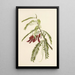 Ohai - Isabella McHutcheson Sinclair — framed artwork on a wall