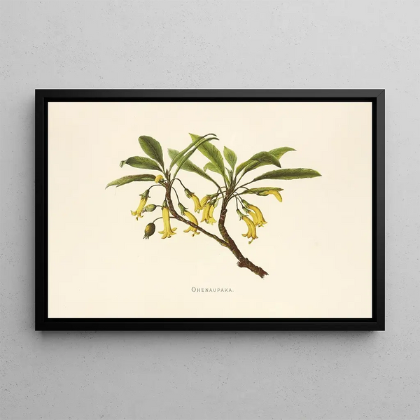Ohenaupaka - Isabella McHutcheson Sinclair — framed artwork on a wall