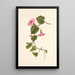 Pilikai - Isabella McHutcheson Sinclair — framed artwork on a wall