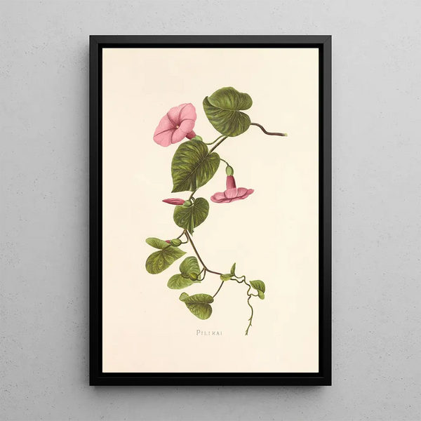 Pilikai - Isabella McHutcheson Sinclair — framed artwork on a wall