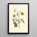 Poolanui - Isabella McHutcheson Sinclair — framed artwork on a wall
