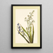 Ukiuki Painting - Isabella McHutcheson Sinclair — framed artwork on a wall