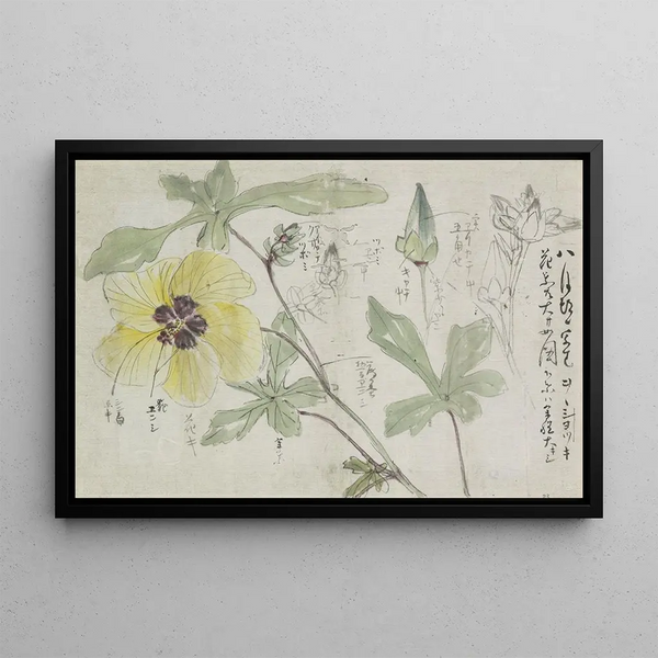 Sketch sheet with mauve - Ishikawa Kazan — framed artwork on a wall
