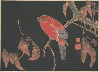 Parrot rouge sur la branche d'un arbre - Itō Jakuchū — artwork view