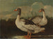 Two proud geese - Italian school — artwork view