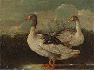 Two proud geese - Italian school — artwork view