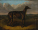 The Sultan and the Greyhound - J Thompson — artwork view