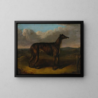 The Sultan and the Greyhound - J Thompson — framed artwork on a wall