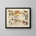Faithful representations and descriptions of edible, harmful, and suspicious mushrooms Pl03 - J V Krombholz — framed artwork on a wall