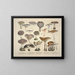 Faithful representations and descriptions of edible, harmful, and suspicious mushrooms Pl14 - J V Krombholz — framed artwork on a wall