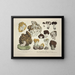Faithful representations and descriptions of edible, harmful, and suspicious mushrooms Pl20 - J V Krombholz — framed artwork on a wall