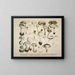 Faithful representations and descriptions of edible, harmful, and suspicious mushrooms Pl28 - J V Krombholz — framed artwork on a wall